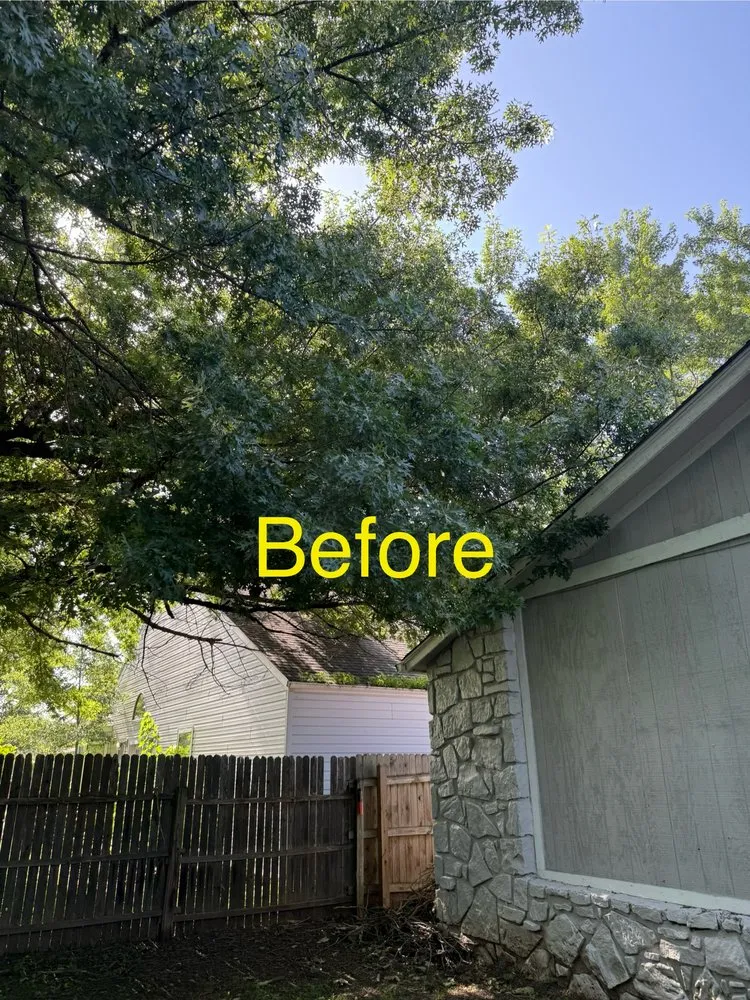 Expert yard maintenance for residential properties in Tulsa, OK by Arroyo’s Tree Service