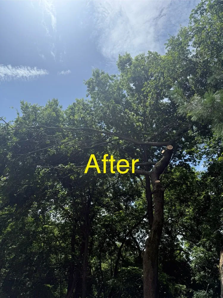 Top-rated lawn mowing service experts serving Tulsa, OK - Arroyo’s Tree Service