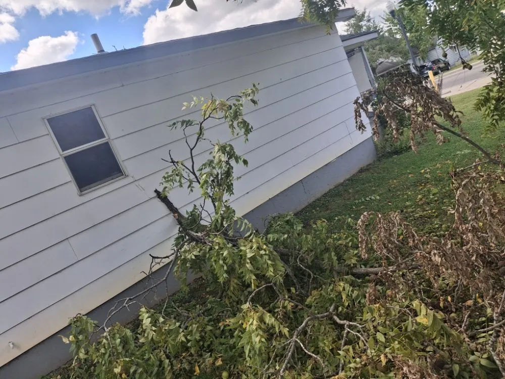 Reliable outdoor landscaping for year-round maintenance in Desloge, MO by Arsenault Landscaping and Gardening