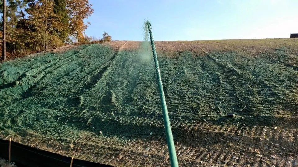 Affordable landscaping services in Morrilton, AR by ARstate Hydroseeding