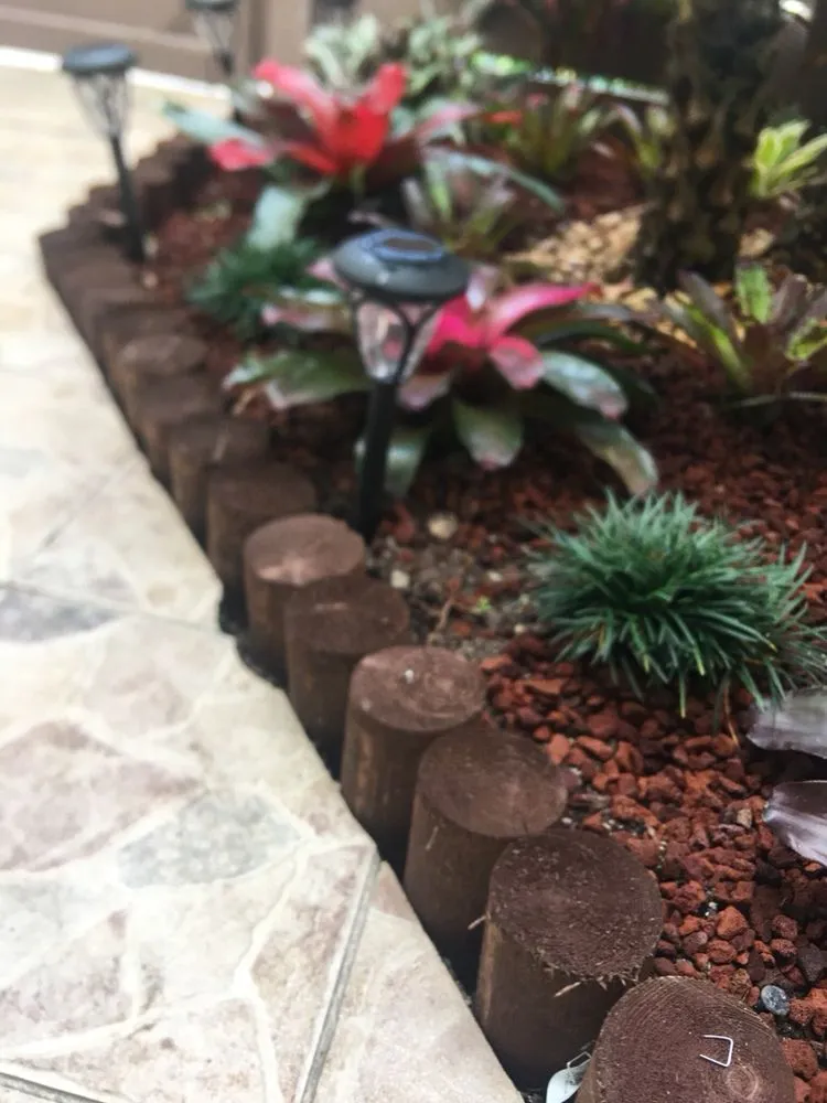 Local landscape design for year-round maintenance in Fort Lauderdale, FL by Art & Tree Landscaping