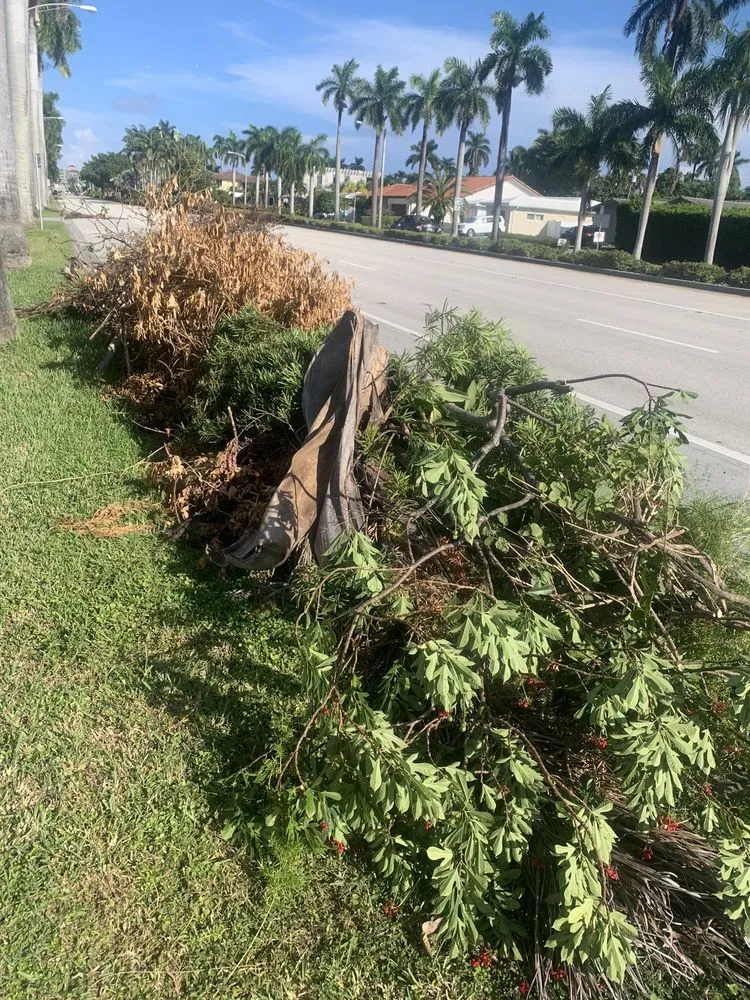 Local yard maintenance in Fort Lauderdale, FL by Art & Tree Landscaping