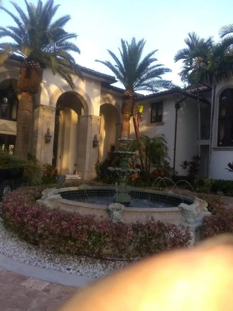 Expert lawn mowing service for year-round maintenance across Fort Lauderdale, FL - Art & Tree Landscaping