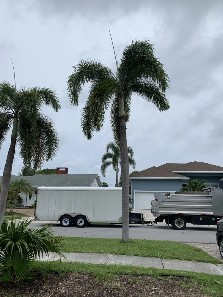 Top-rated yard maintenance in Fort Lauderdale, FL by Art & Tree Landscaping