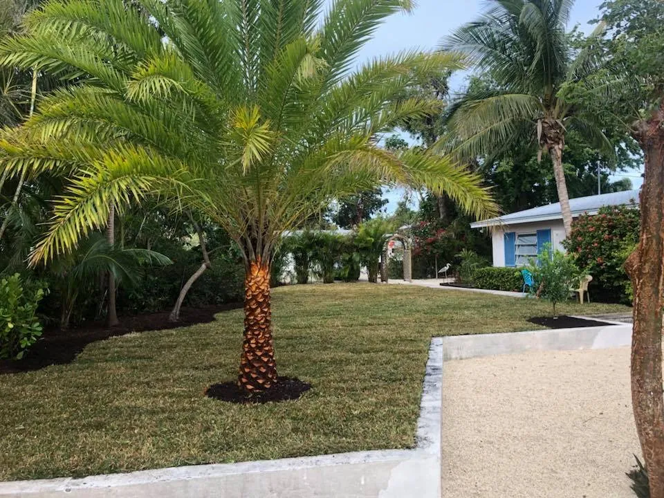 Reliable landscape installation for beautiful yards in Fort Lauderdale, FL by Art & Tree Landscaping