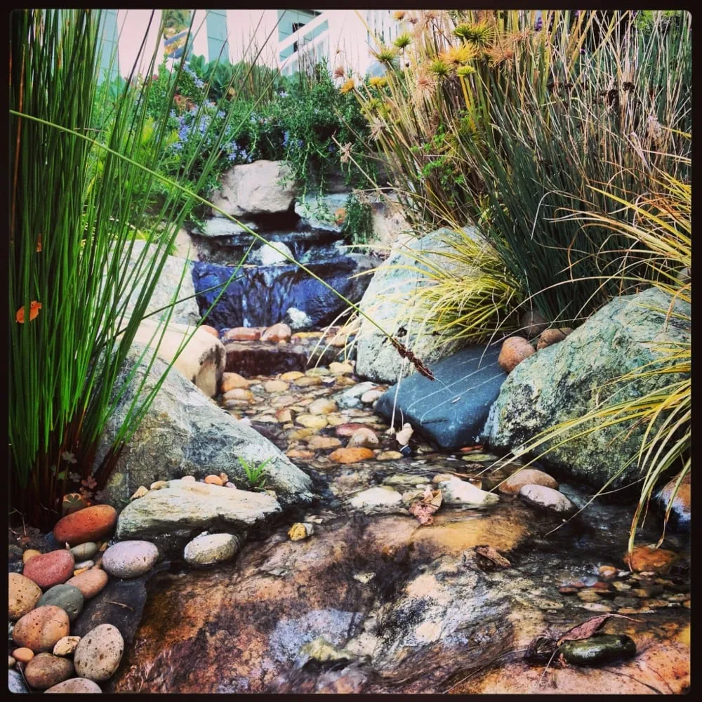 Local lawn care service in San Anselmo, CA by Art Gardens