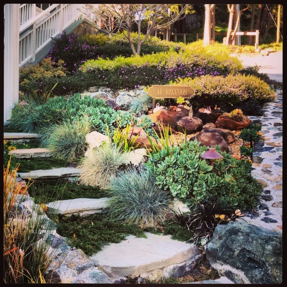 Reliable landscape design in San Anselmo, CA by Art Gardens