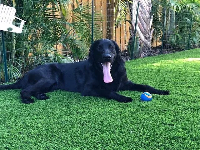 Trusted landscape design experts serving Miami, FL - Art Grass