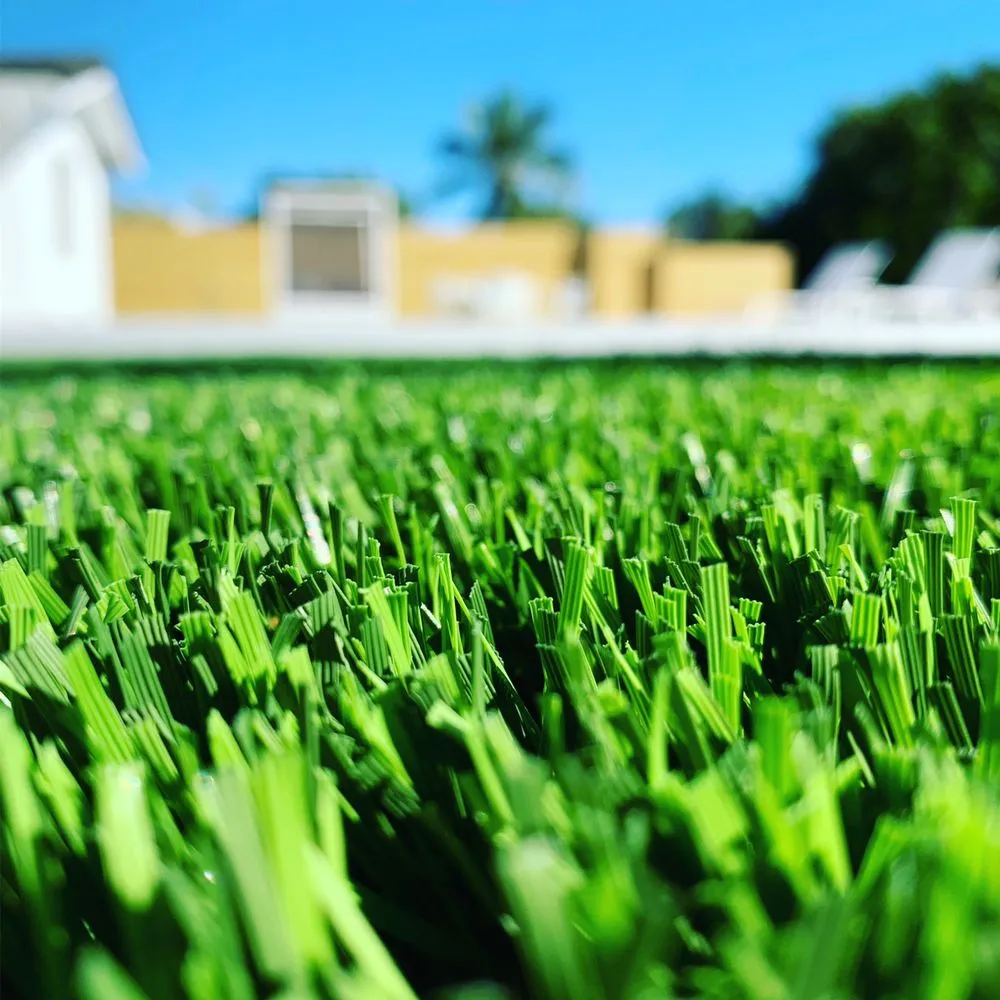 Trusted landscaping services in Miami, FL by Art Grass