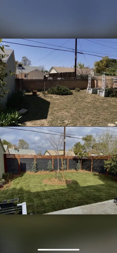 Expert lawn care service in Los Angeles, CA by Art House Landscape
