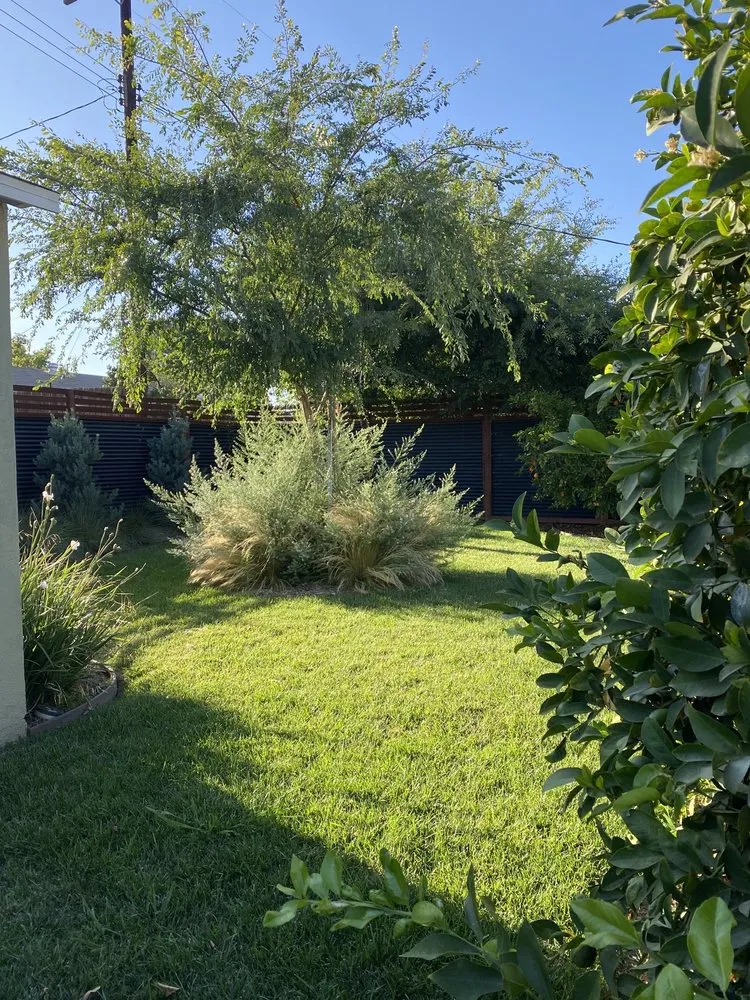 Local residential landscaping in Los Angeles, CA by Art House Landscape