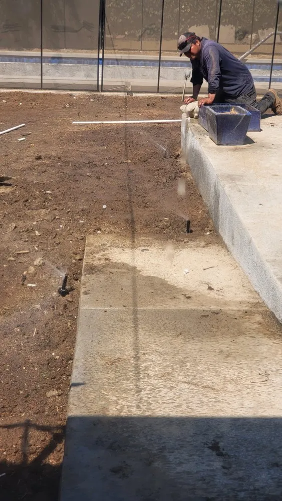 Local yard maintenance in Los Angeles, CA - Art House Landscape