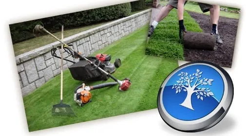 Custom lawn mowing service for homes in Los Angeles, CA by Art House Landscape