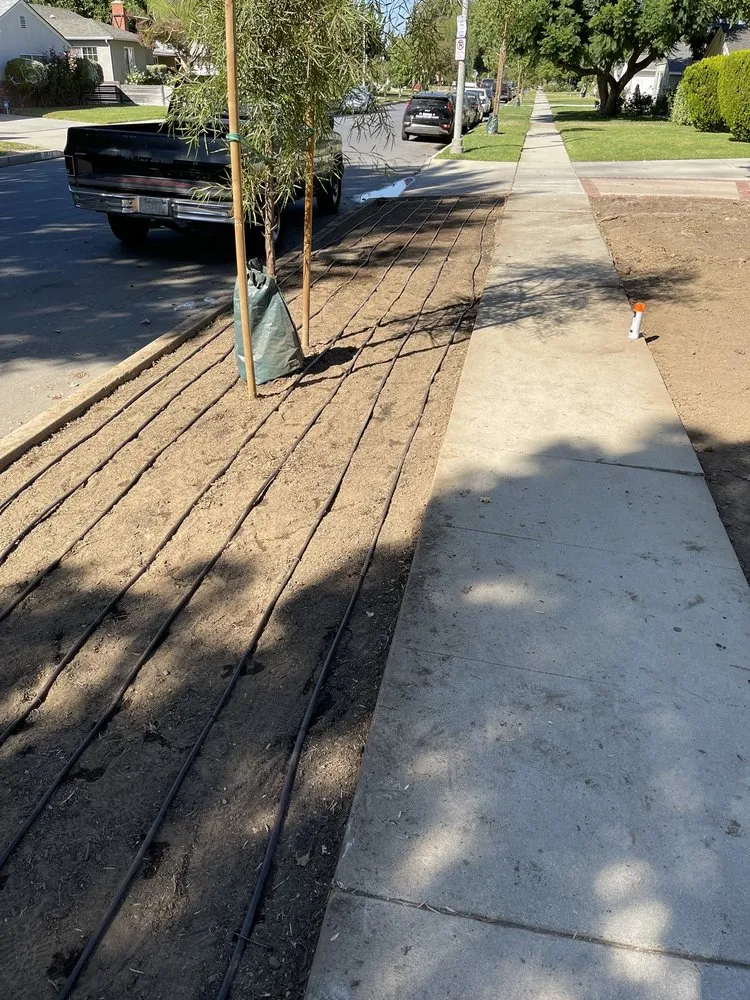 Local outdoor landscaping for beautiful yards in Los Angeles, CA by Art House Landscape