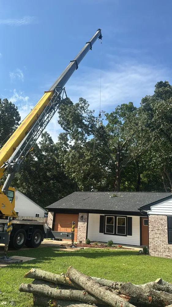 Top-rated outdoor landscaping for beautiful yards in Virginia Beach, VA by Art Is Tree