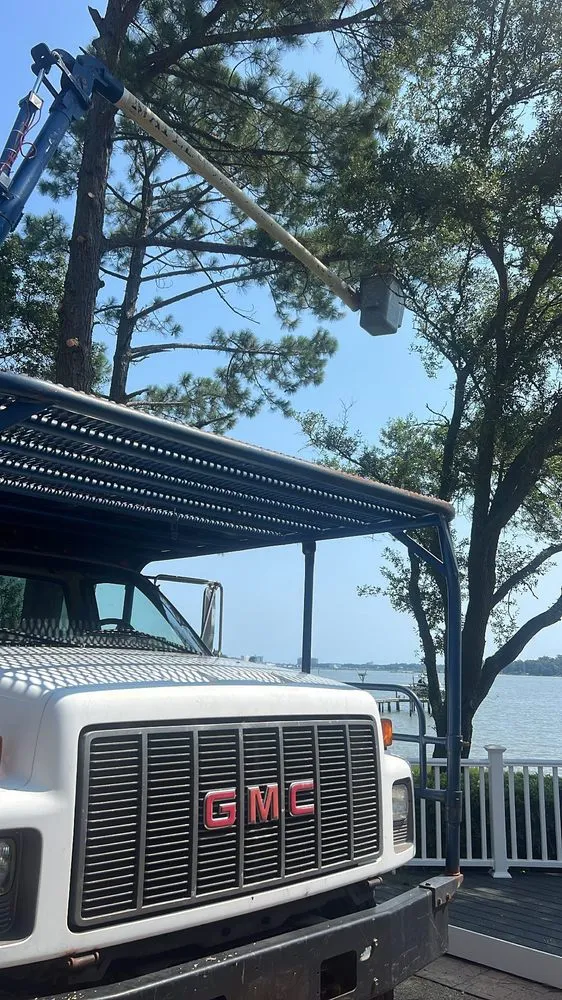 Professional landscaping services for homes in Virginia Beach, VA by Art Is Tree