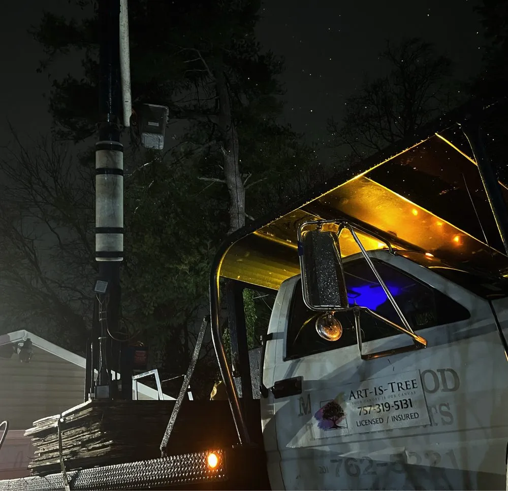 Expert yard maintenance experts serving Virginia Beach, VA - Art Is Tree
