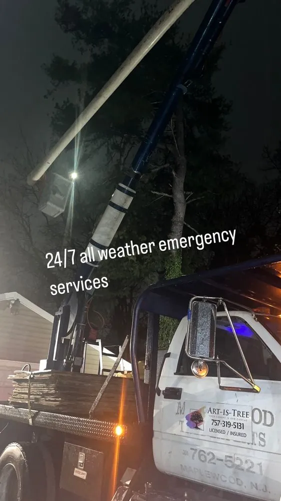 Top-rated lawn mowing service for residential properties in Virginia Beach, VA by Art Is Tree