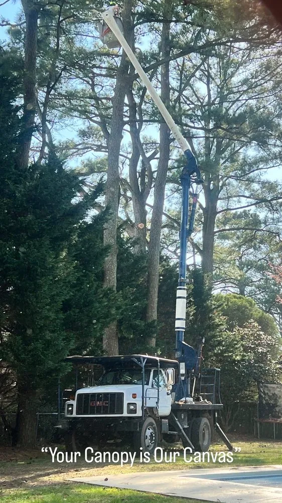 Custom garden landscaping in Virginia Beach, VA by Art Is Tree