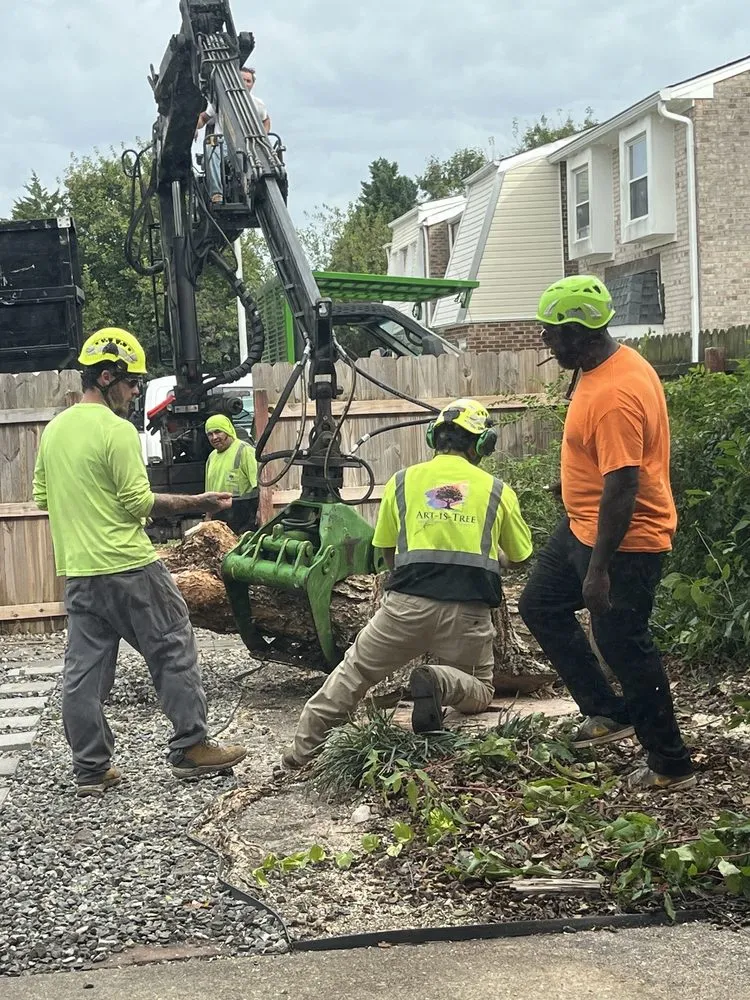 Affordable residential landscaping in Virginia Beach, VA - Art Is Tree