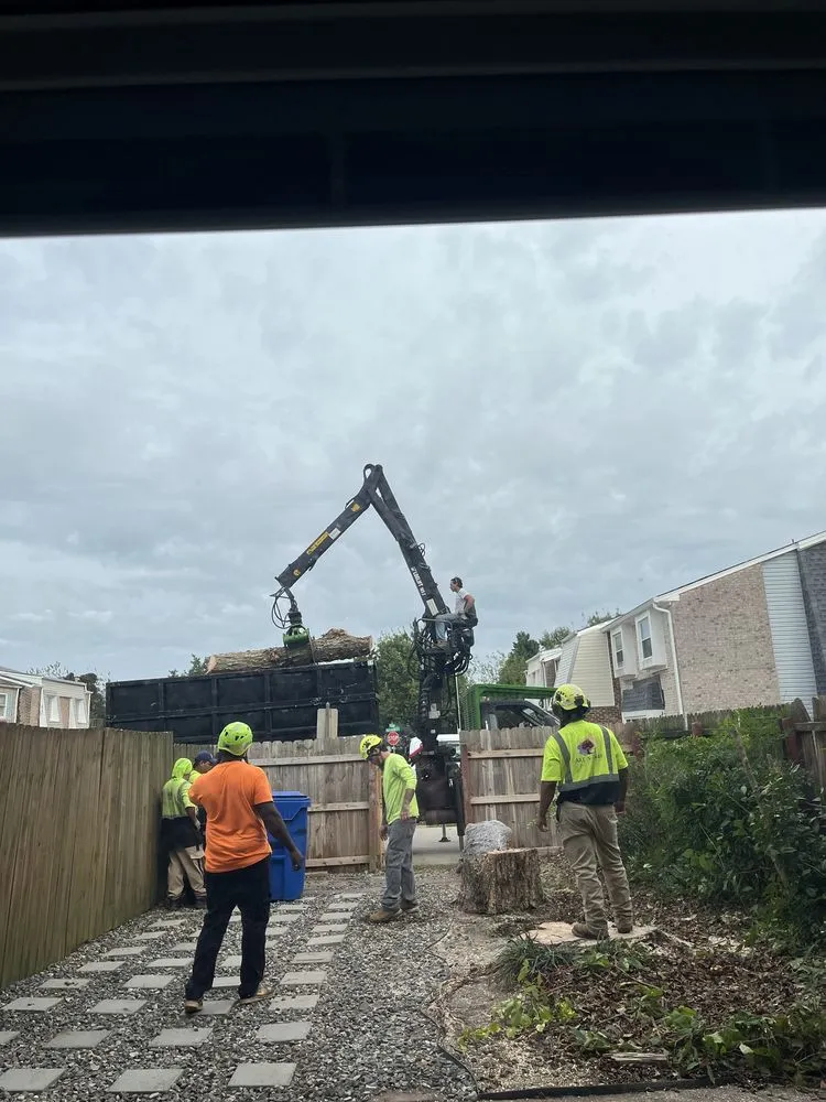 Trusted garden landscaping experts serving Virginia Beach, VA - Art Is Tree