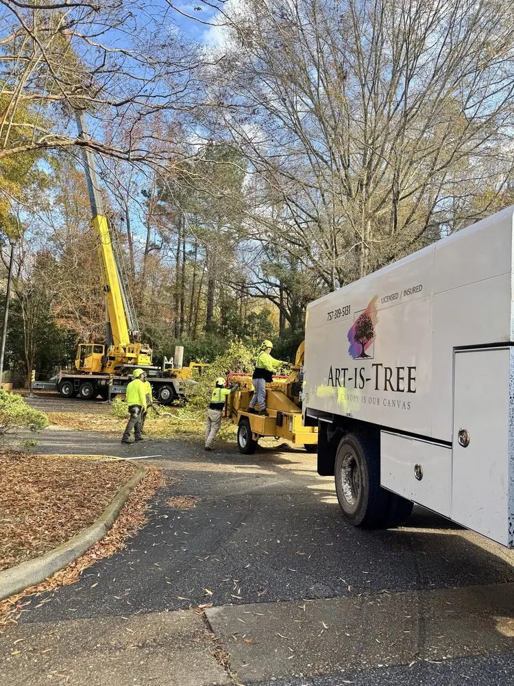 Custom lawn care service in Virginia Beach, VA by Art Is Tree