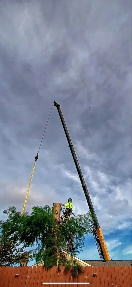 Affordable landscape installation for residential properties across Virginia Beach, VA - Art Is Tree