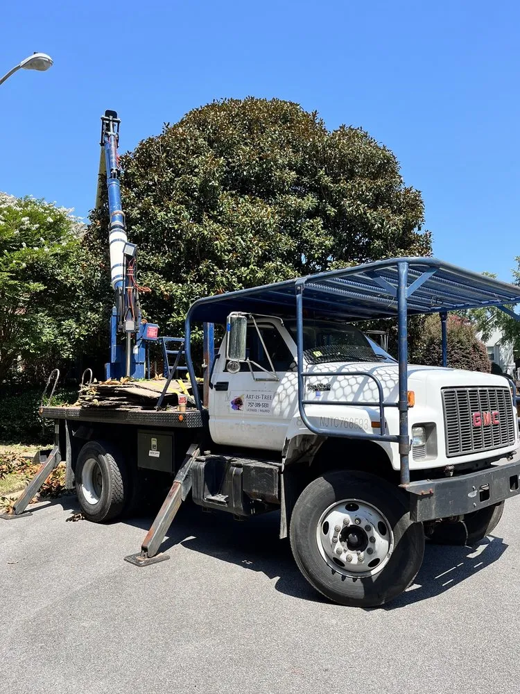 Custom yard cleanup service in Virginia Beach, VA by Art Is Tree