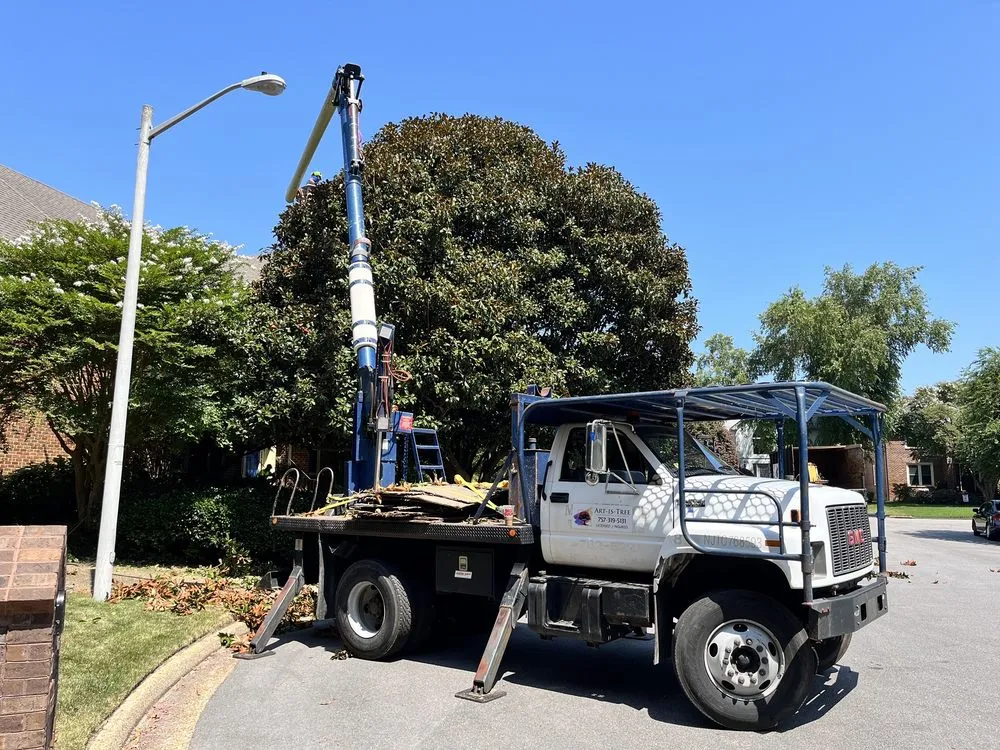 Professional landscaping services with custom design across Virginia Beach, VA - Art Is Tree