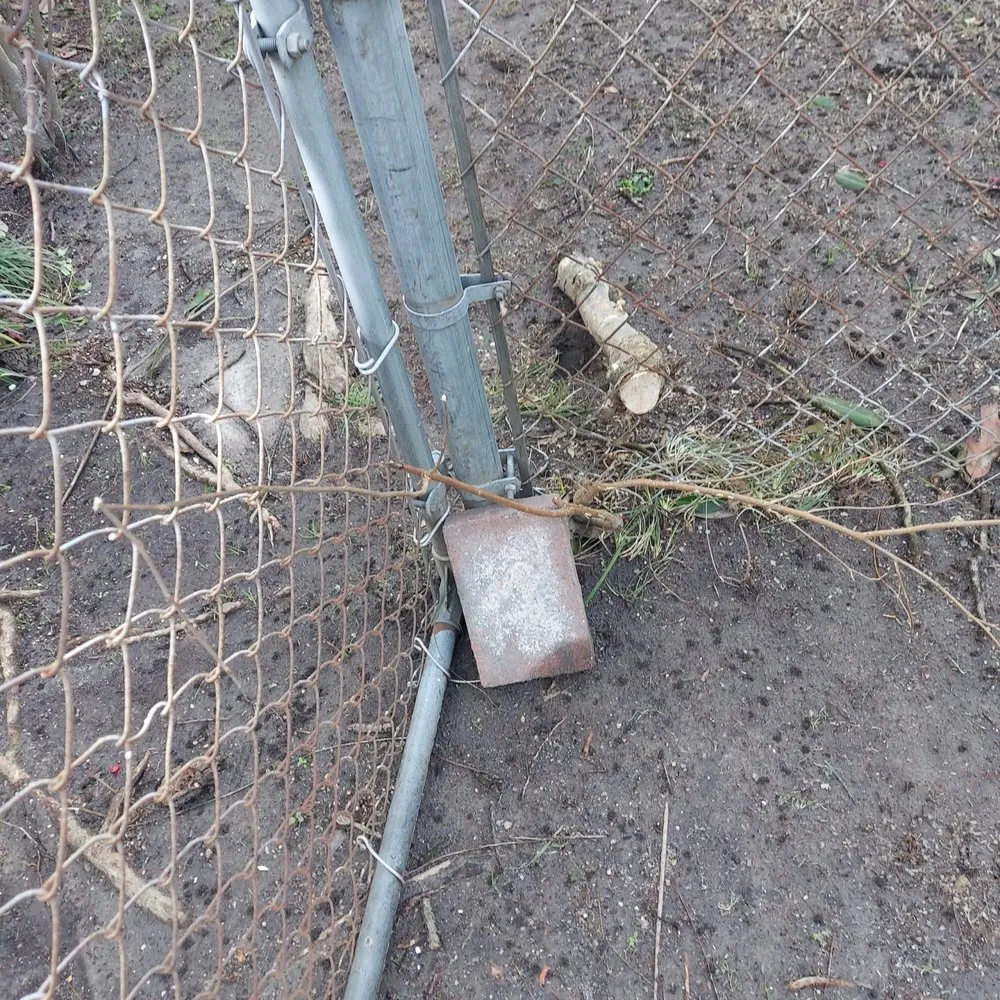 Professional outdoor landscaping in Virginia Beach, VA by Art Is Tree