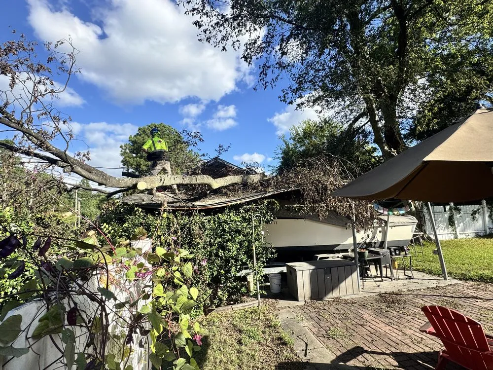 Affordable landscape installation with custom design across Virginia Beach, VA - Art Is Tree