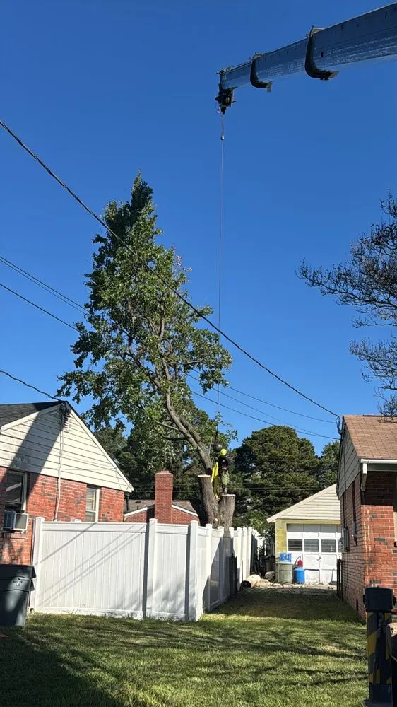 Reliable outdoor landscaping experts serving Virginia Beach, VA - Art Is Tree