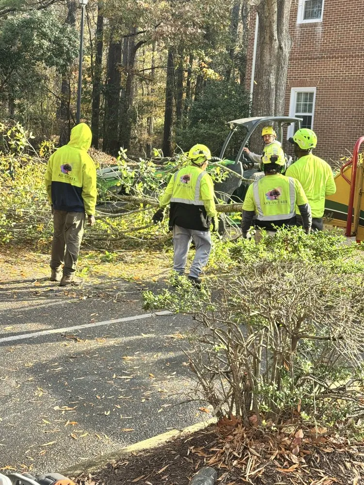 Trusted landscape installation near you across Virginia Beach, VA - Art Is Tree