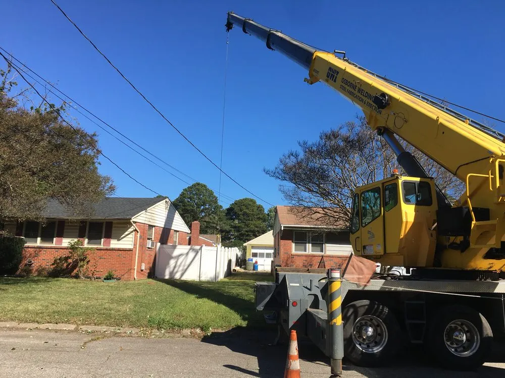 Local yard cleanup service in Virginia Beach, VA by Art Is Tree