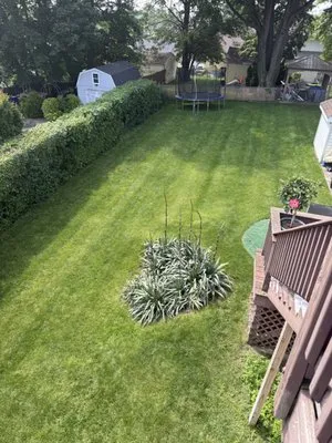 Art Landscape Design & Construction