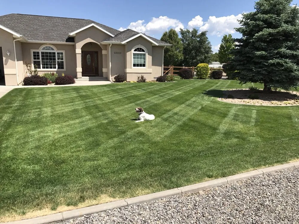 Trusted landscape design in Montrose, CO - ART Landscape Maintenance