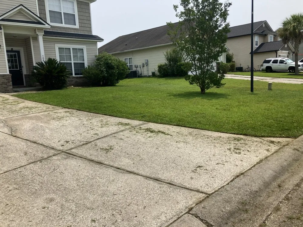 Top-rated yard cleanup service experts serving North Charleston, SC - Art Lawn And Landscaping