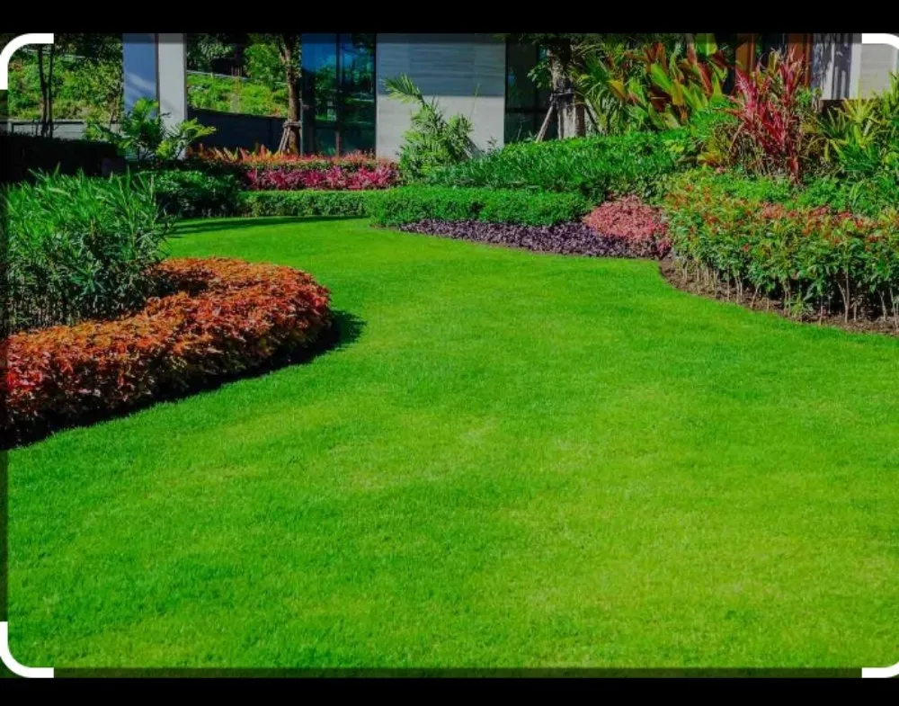 Top-rated yard cleanup service experts serving Marrero, LA - ART Lawn Care & Pressure Washing Services