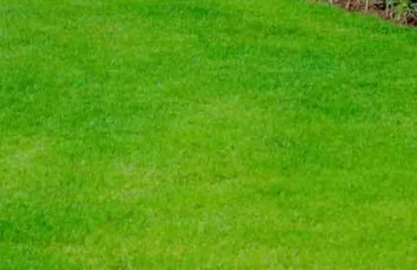 ART Lawn Care & Pressure Washing Services Logo