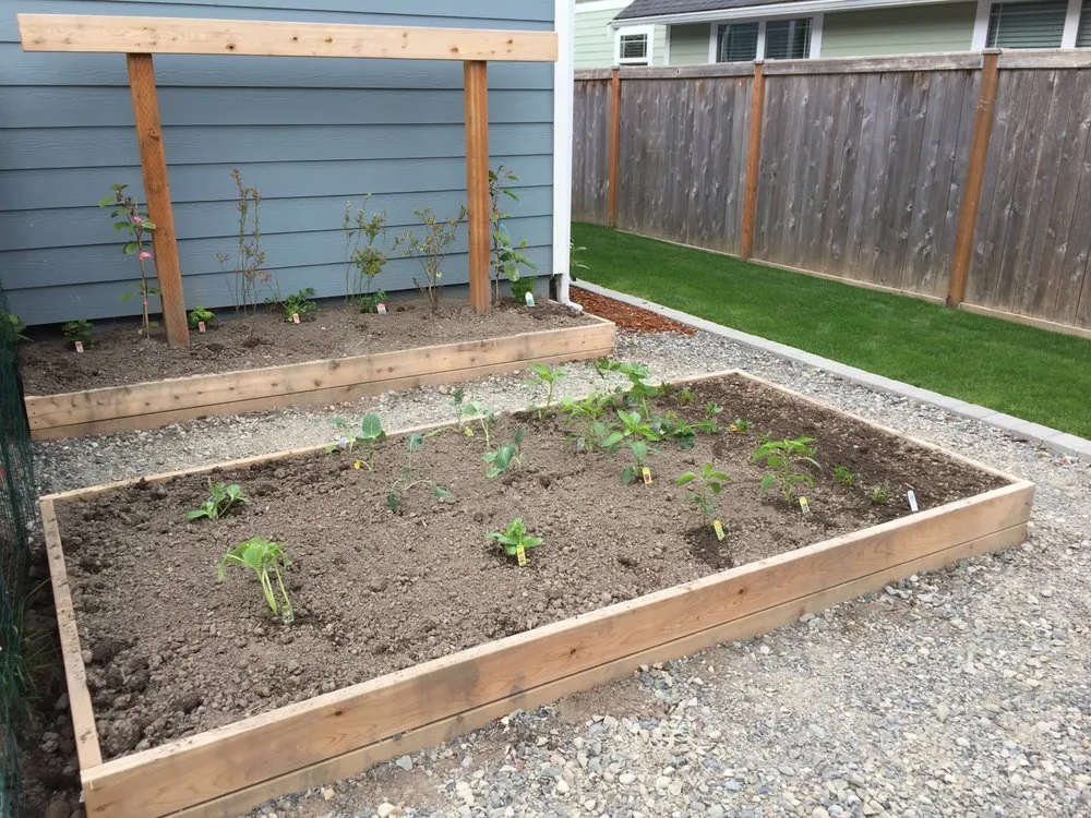 Expert landscaping services for homes across Tacoma, WA - Art of Green Landscaping