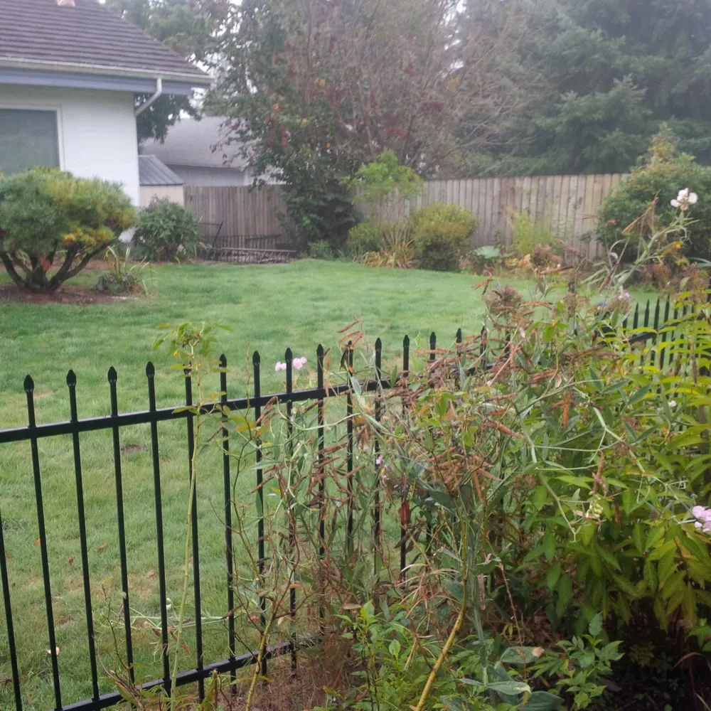 Trusted residential landscaping for outdoor upgrades across Tacoma, WA - Art of Green Landscaping