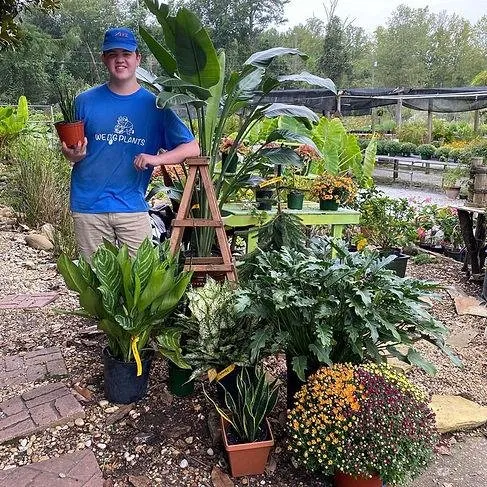 Professional residential landscaping with custom design across Fayetteville, GA - Art of Landscaping