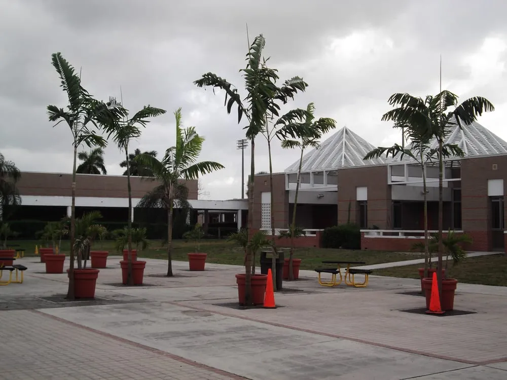 Custom lawn mowing service for outdoor upgrades across Loxahatchee, FL - Art of Palms