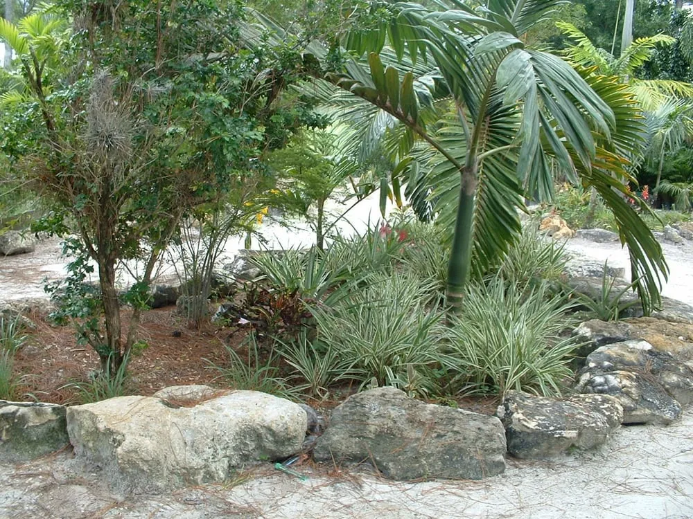 Affordable landscape design with custom design across Loxahatchee, FL - Art of Palms