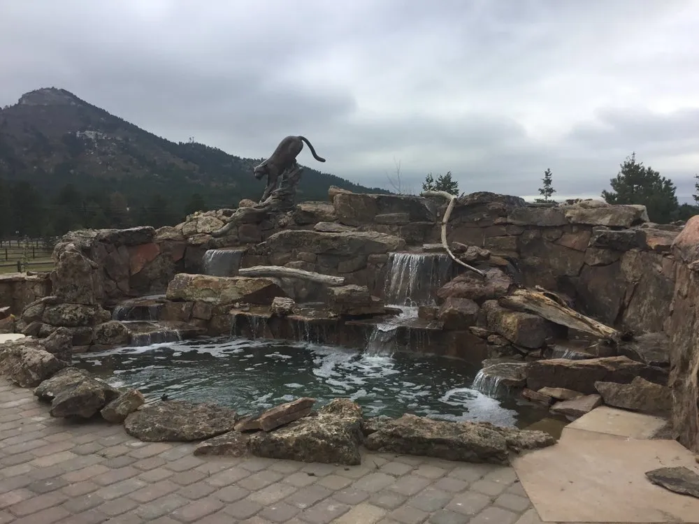 Local yard cleanup service experts serving Littleton, CO - Art of the Yard