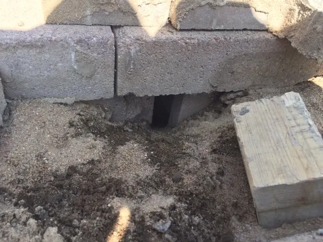 Professional landscape installation in Littleton, CO by Art of the Yard