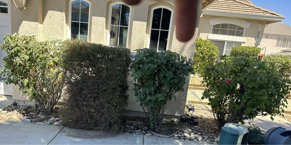 Top-rated yard cleanup service in Manteca, CA - Arteaga’s Amazing Lawn And Garden Services