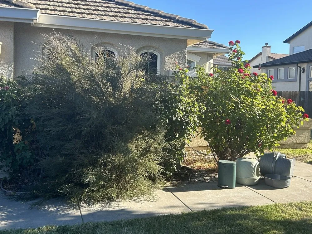 Professional residential landscaping experts serving Manteca, CA - Arteaga’s Amazing Lawn And Garden Services