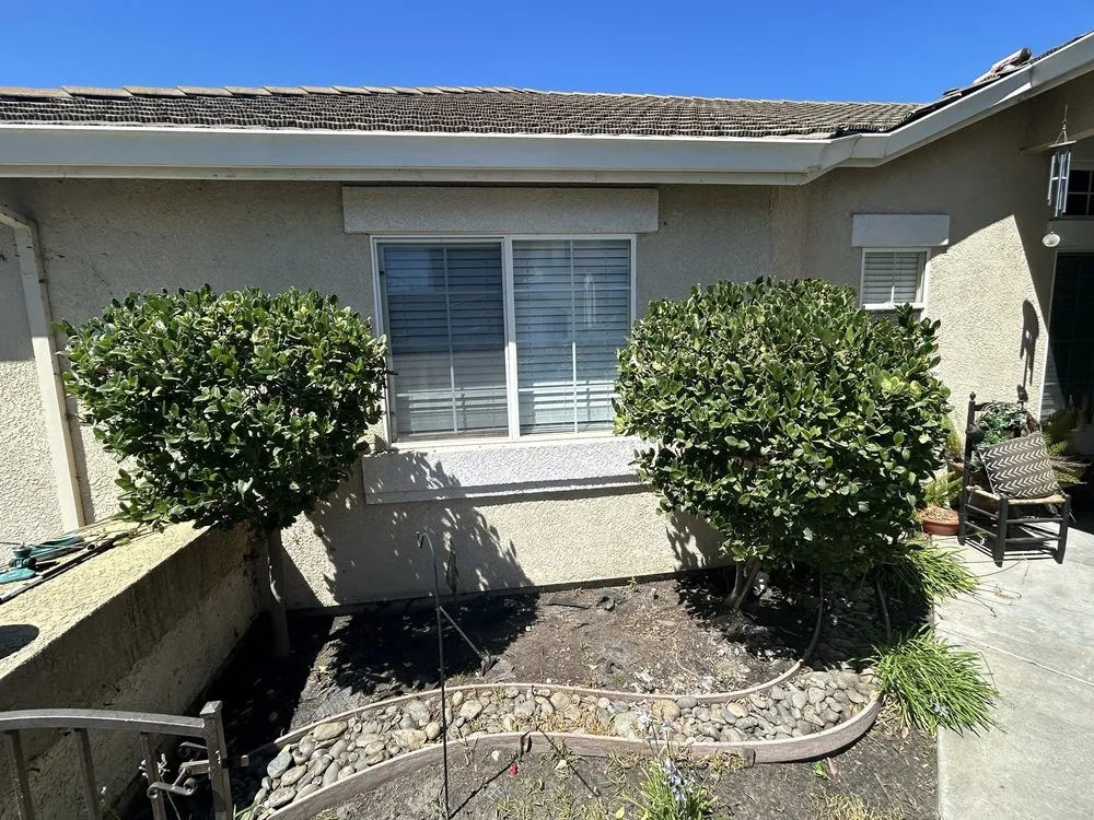 Affordable yard cleanup service for year-round maintenance in Manteca, CA by Arteaga’s Amazing Lawn And Garden Services