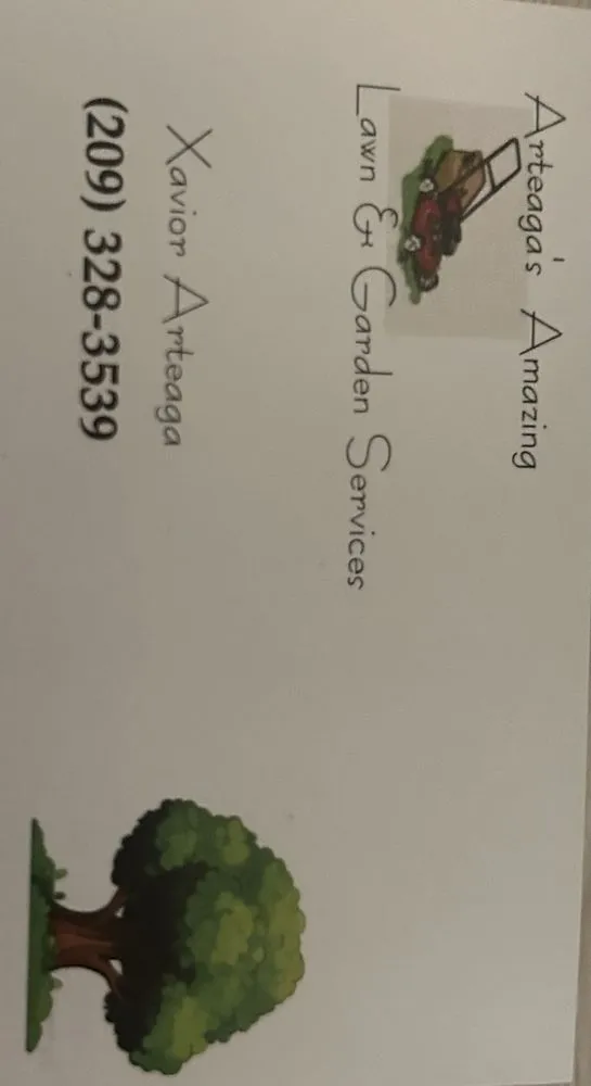 Expert landscape design experts serving Manteca, CA - Arteaga’s Amazing Lawn And Garden Services